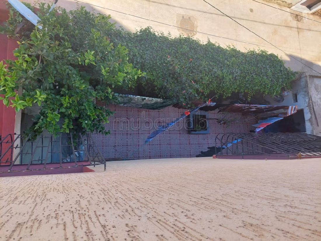 Se vende casa en Tabriquet. Pequeña superficie 300 m². Jardineras, Gran terraza. 