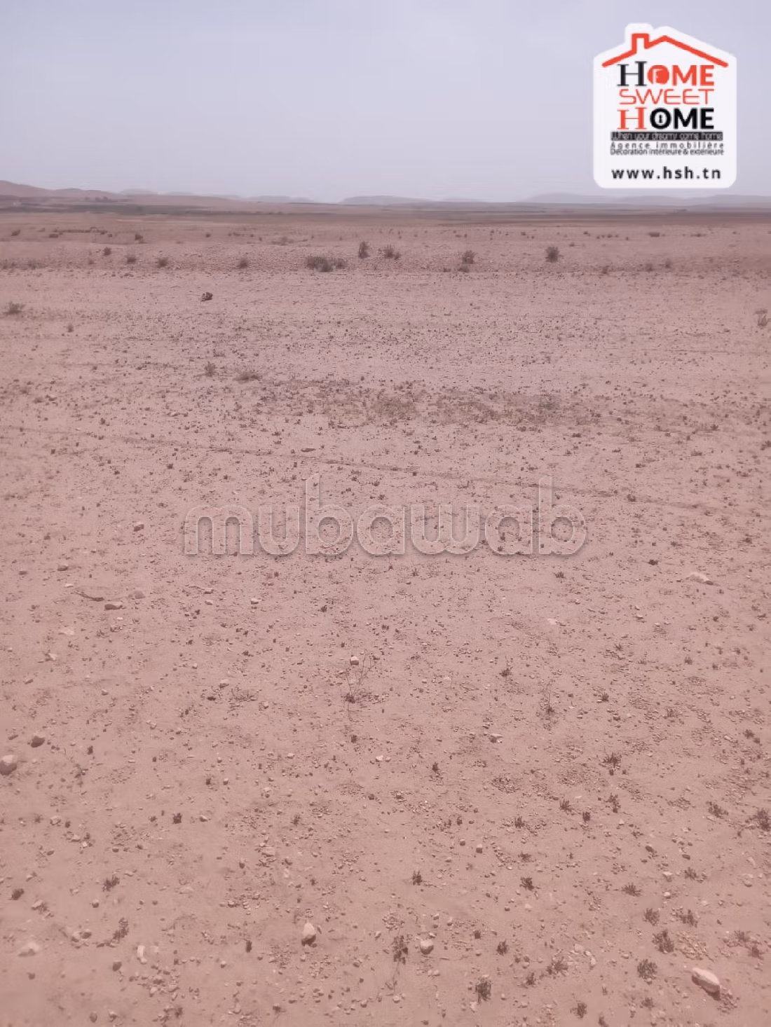 أرض رائعة للبيع ب فريانة. المساحة 57000 م². 