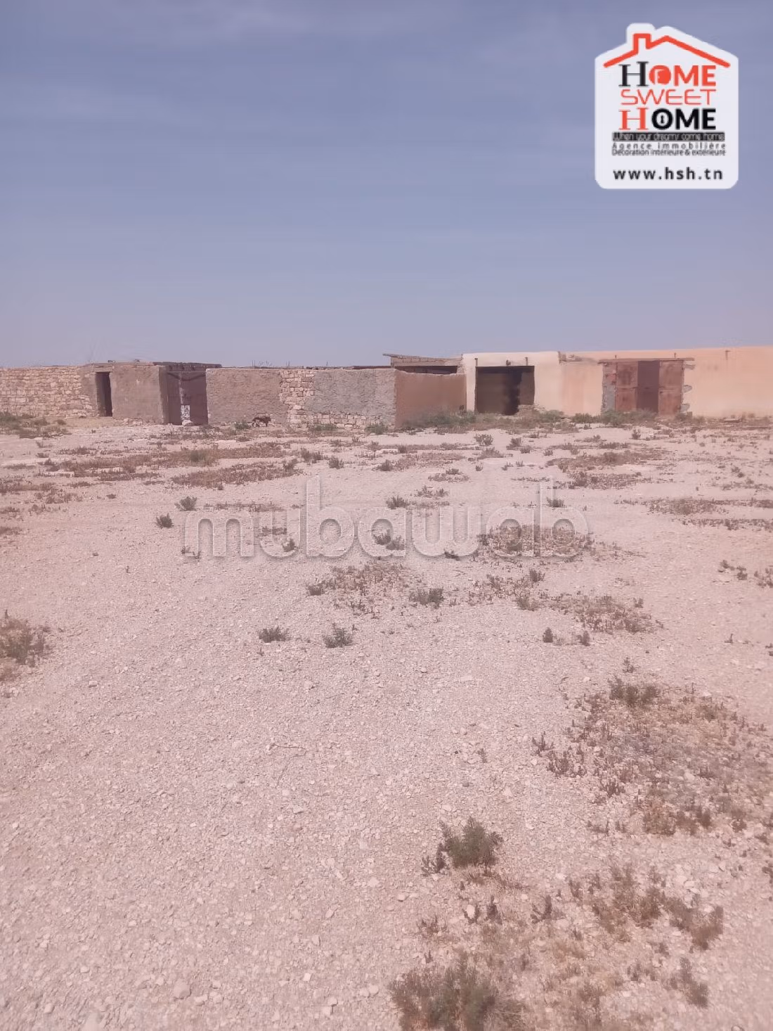 أرض رائعة للبيع ب فريانة. المساحة 57000 م². 