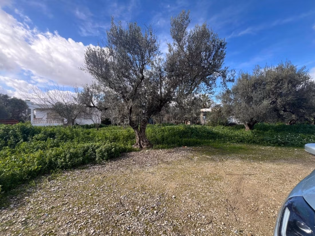 Terreno con casa a Sidi Youness