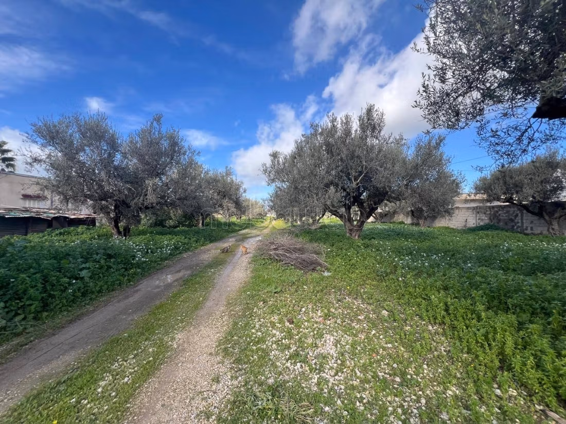 Terreno con casa a Sidi Youness