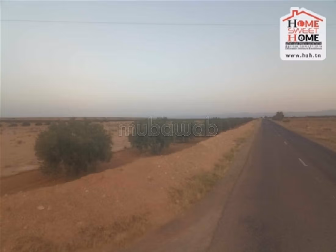 Land to buy. Small area 160000 m². 