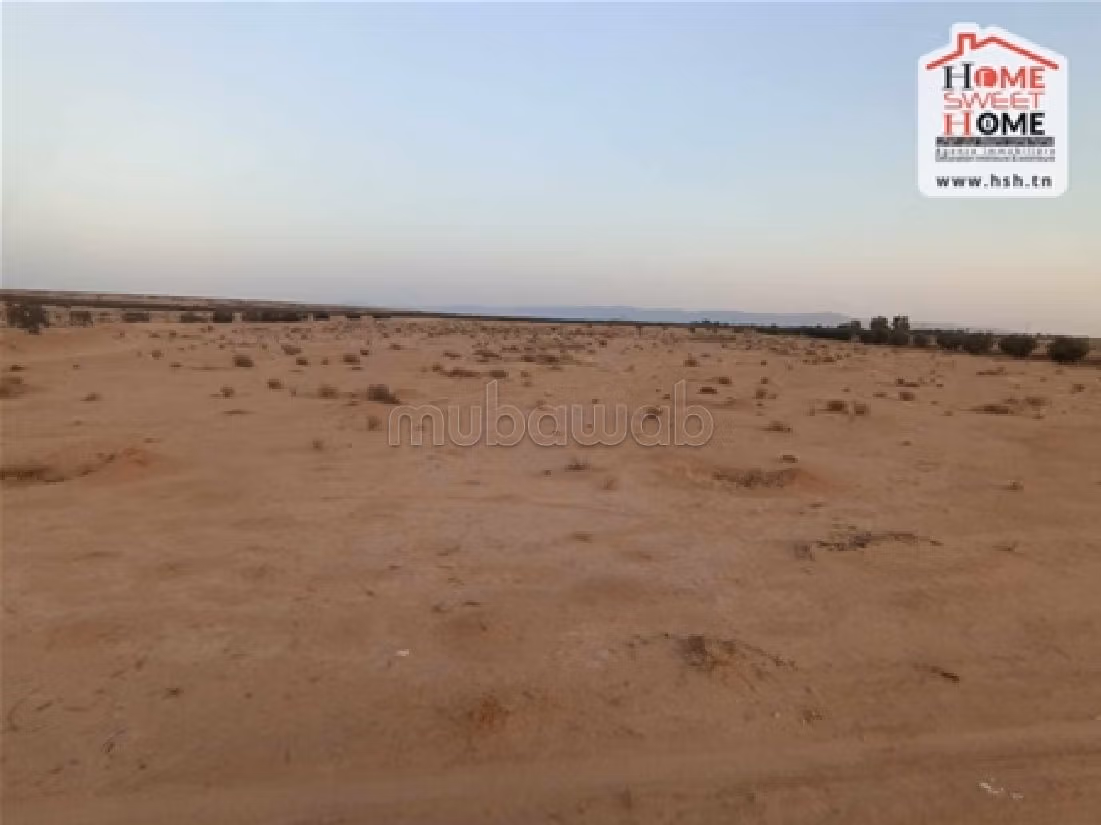 Land to buy. Small area 160000 m². 