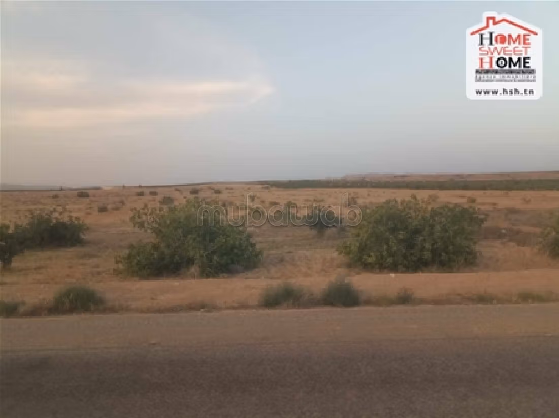 Land to buy. Small area 160000 m². 