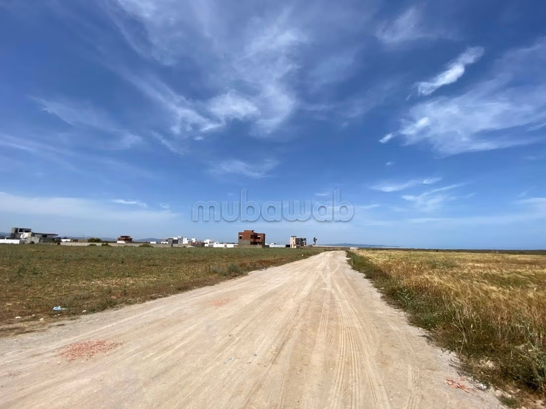 Plots not far from Yasmine Hammamet