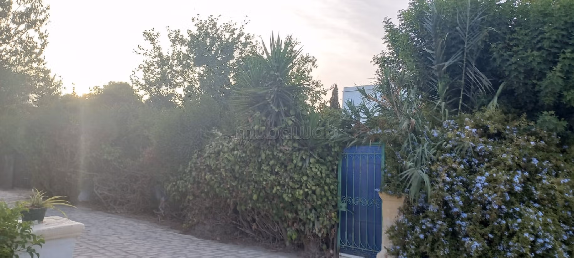 Villa Vallentina à Vendre à La Marsa Ville
