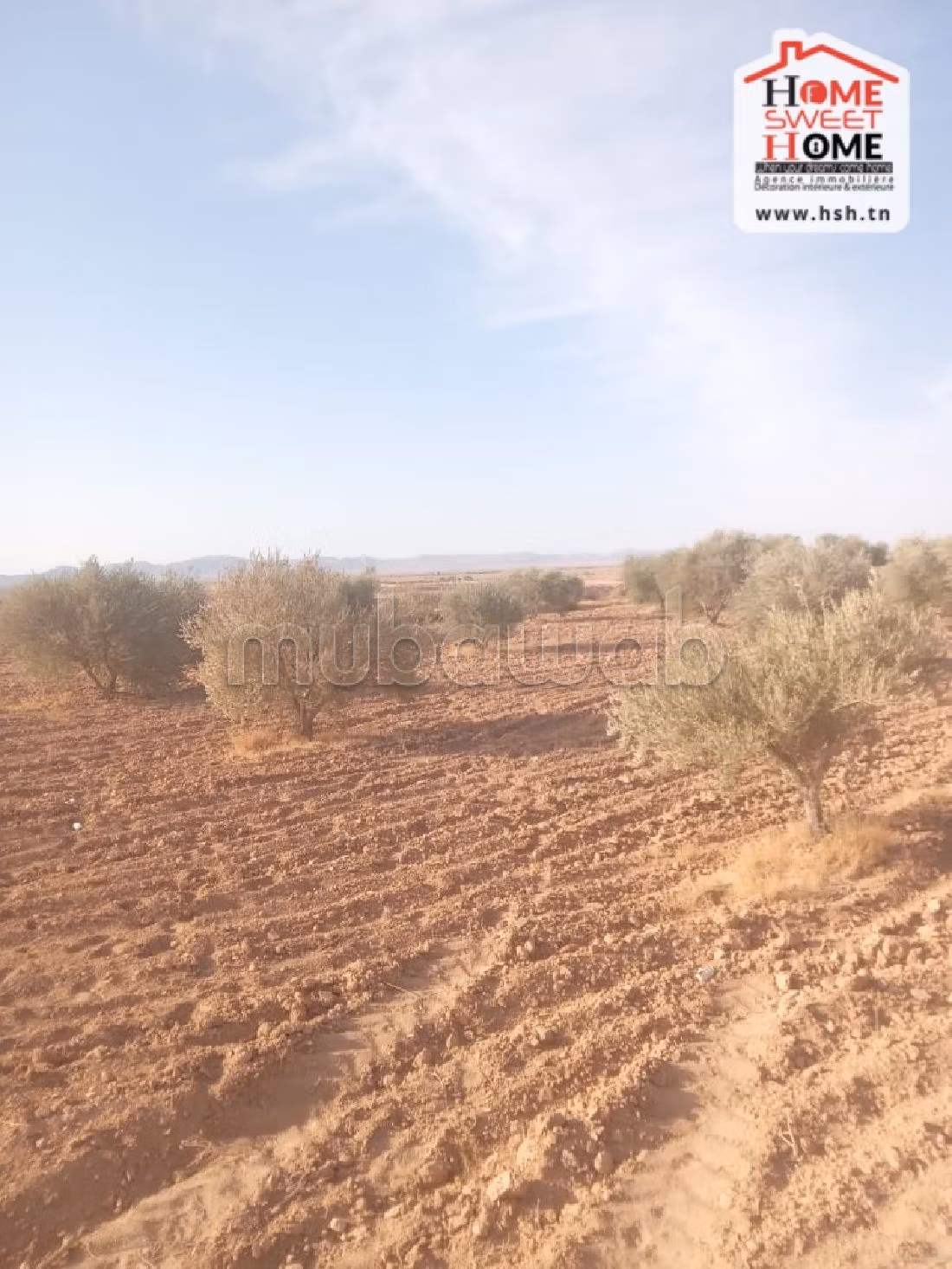 Land to buy. Dimension 600000 m². 