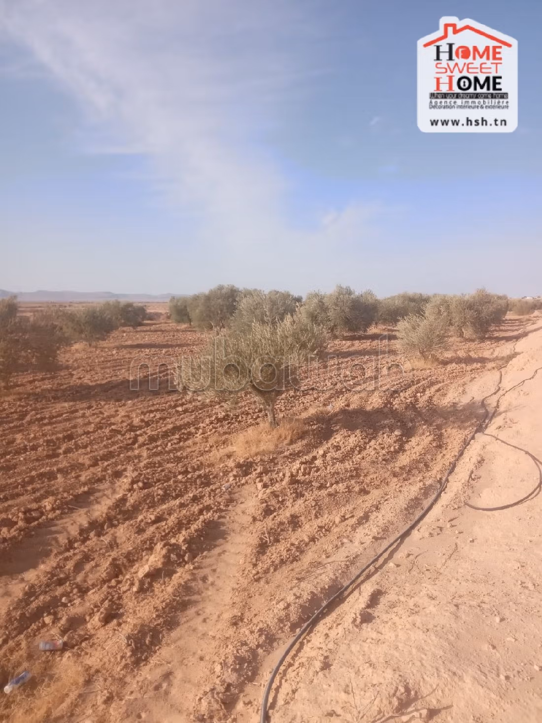Land to buy. Dimension 600000 m². 