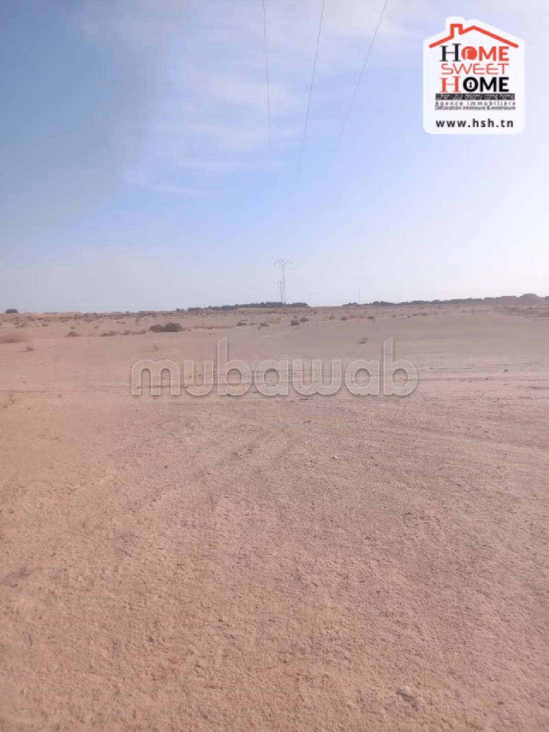 Land to buy. Dimension 600000 m². 