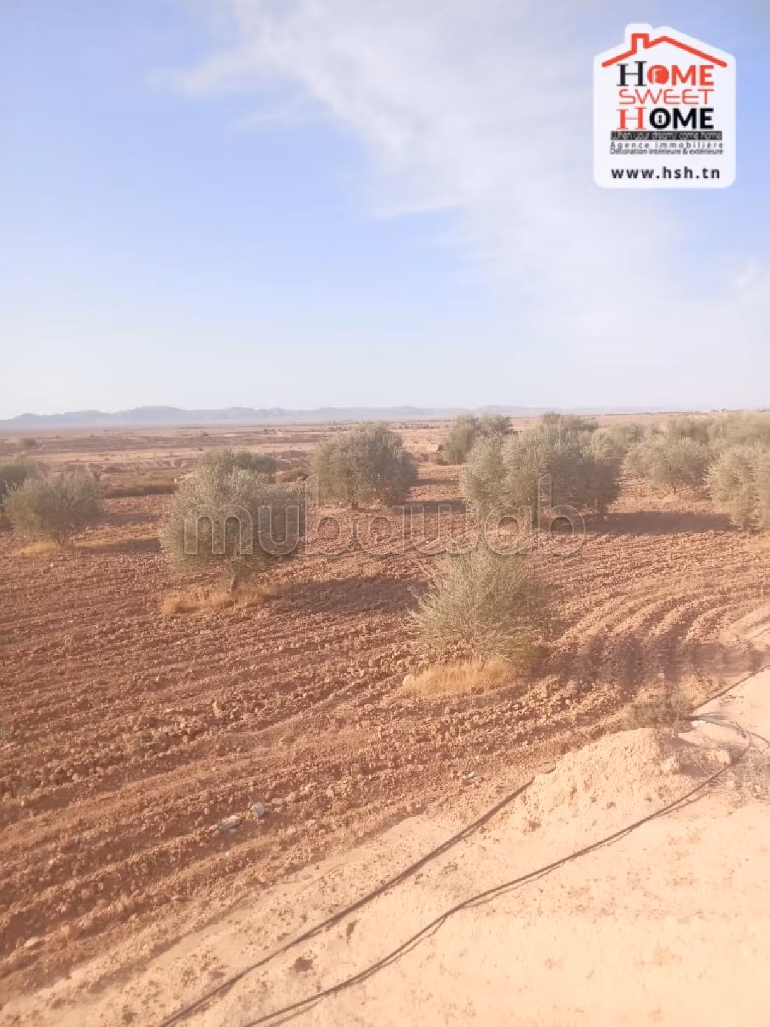 Land to buy. Dimension 600000 m². 