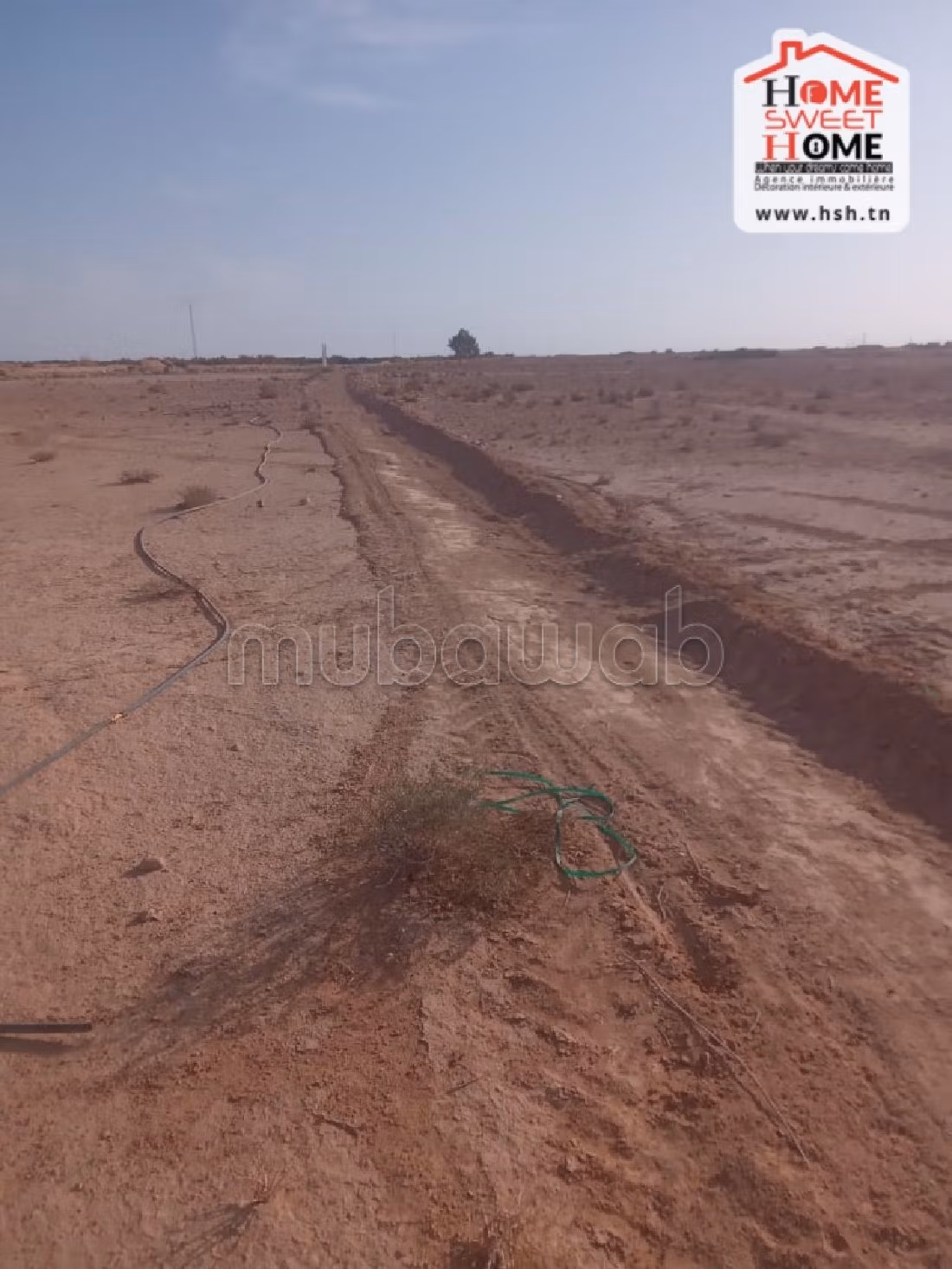 Land to buy. Dimension 600000 m². 