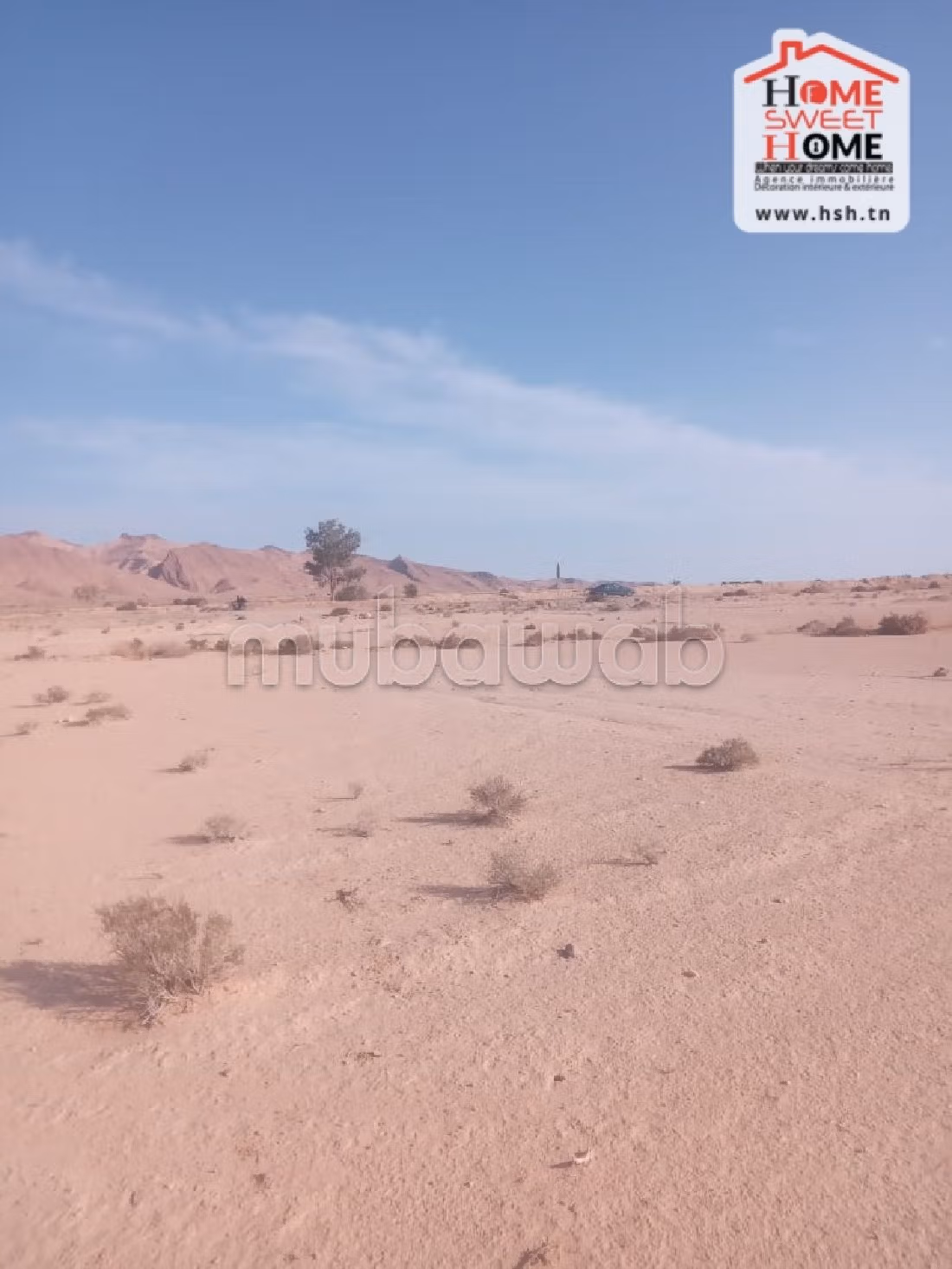 Land to buy. Dimension 600000 m². 