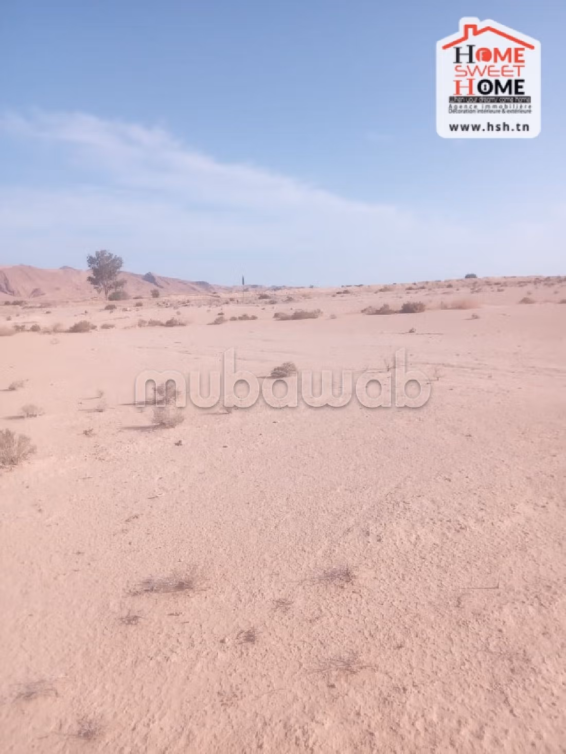 Land to buy. Dimension 600000 m². 