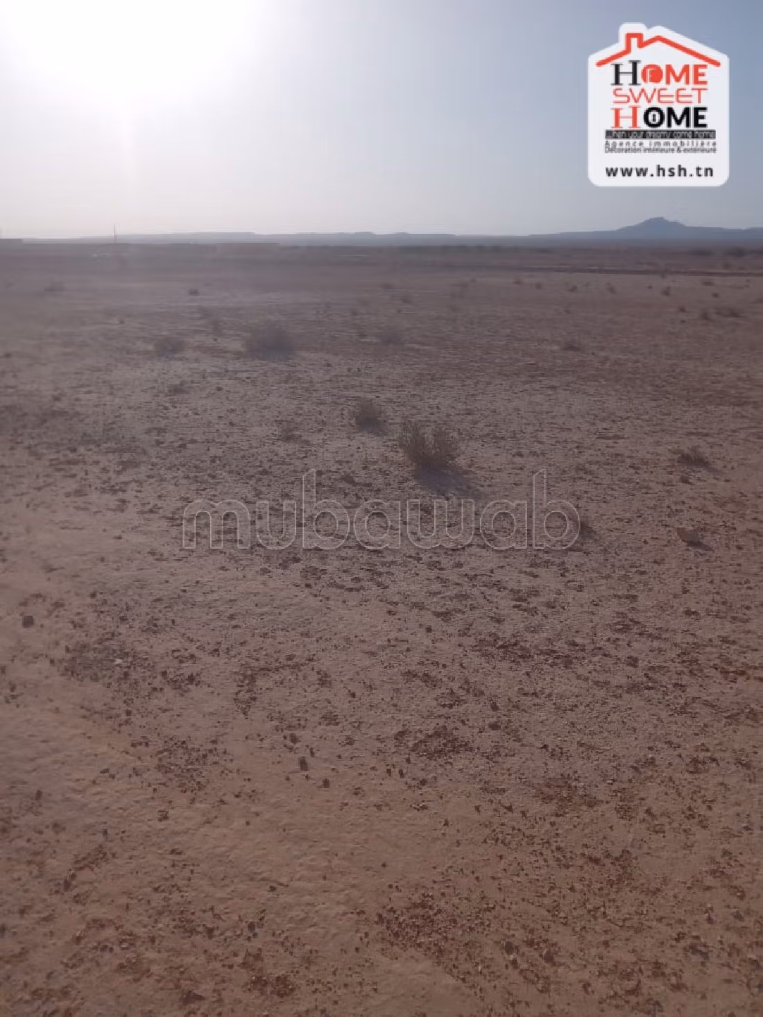 Land to buy. Dimension 600000 m². 