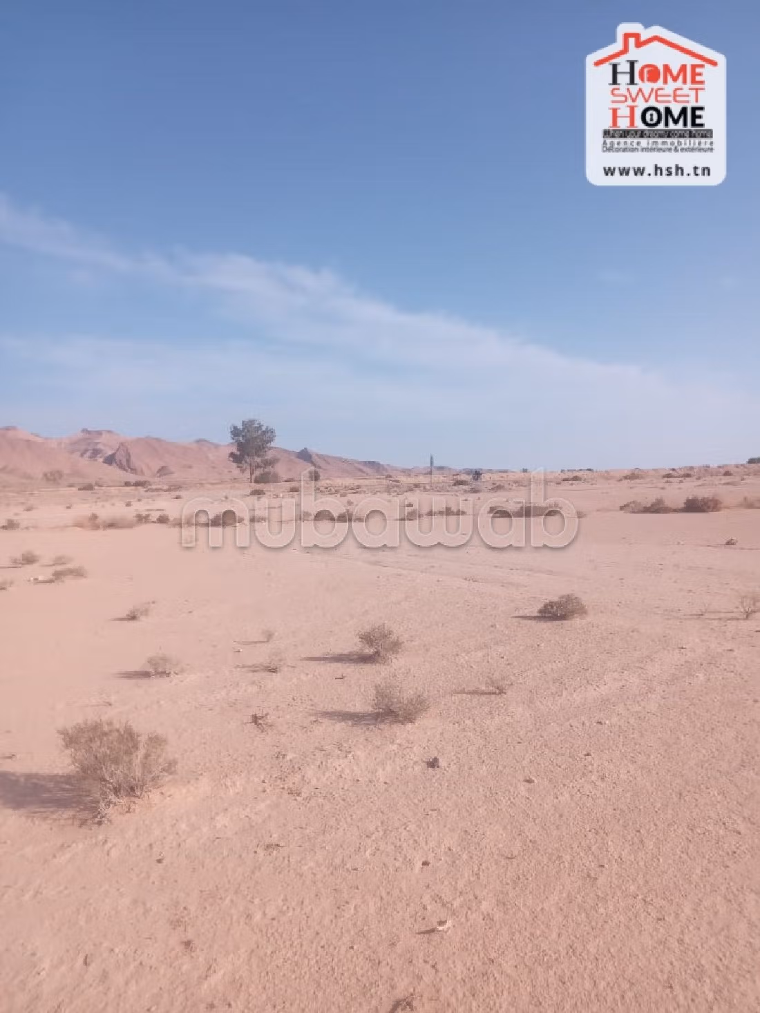 Land to buy. Dimension 600000 m². 