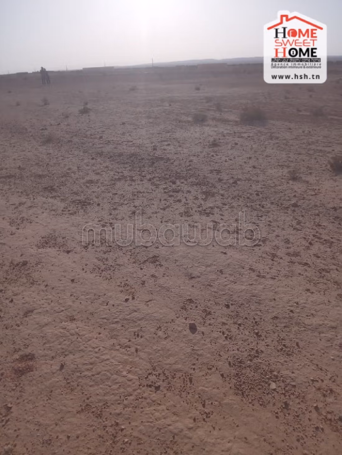 Land to buy. Dimension 600000 m². 