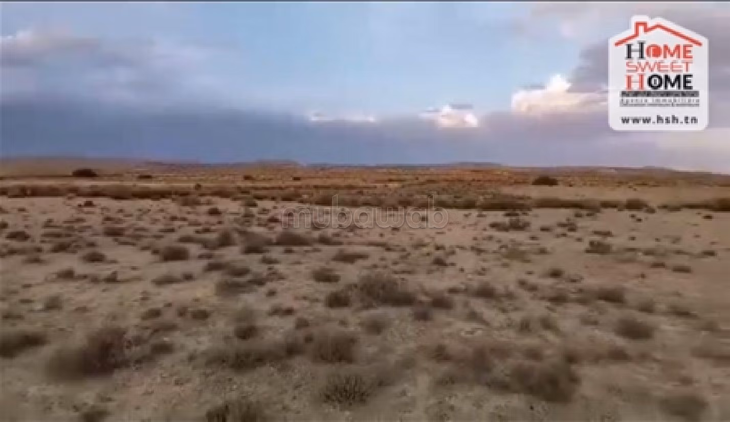 أرض جميلة للبيع. المساحة الكلية 150000 م². 