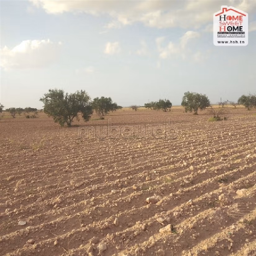 Land to buy. Large area 25000 m². 