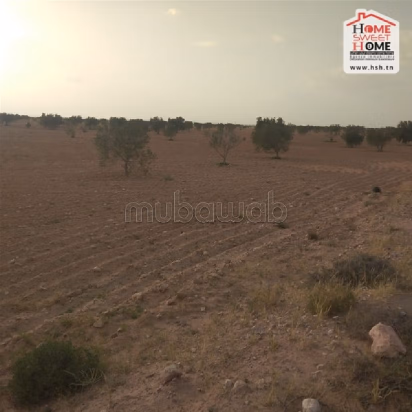 Land to buy. Large area 25000 m². 