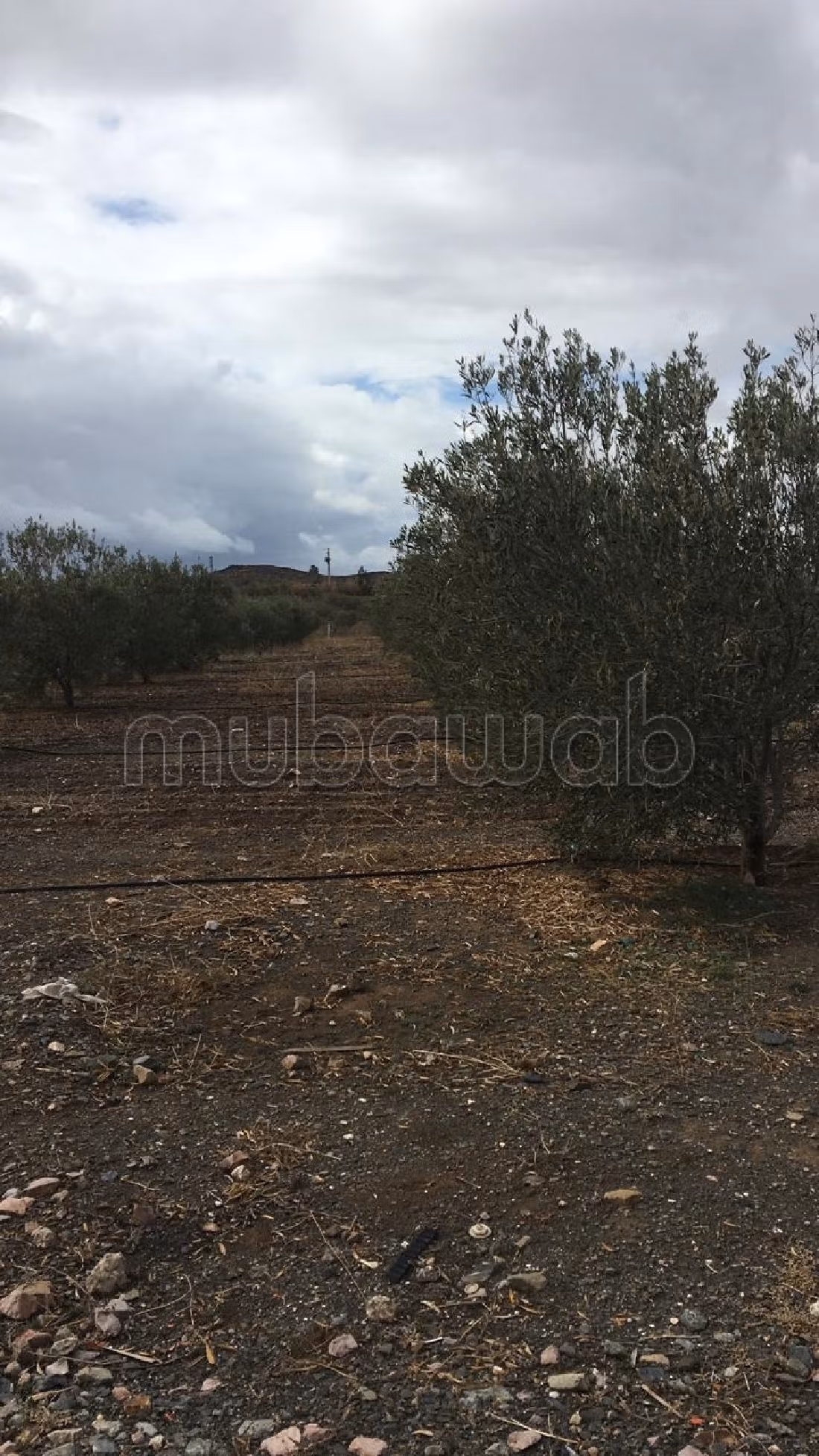 Bonita granja en venta en Route Casablanca. Area 240000 m². 