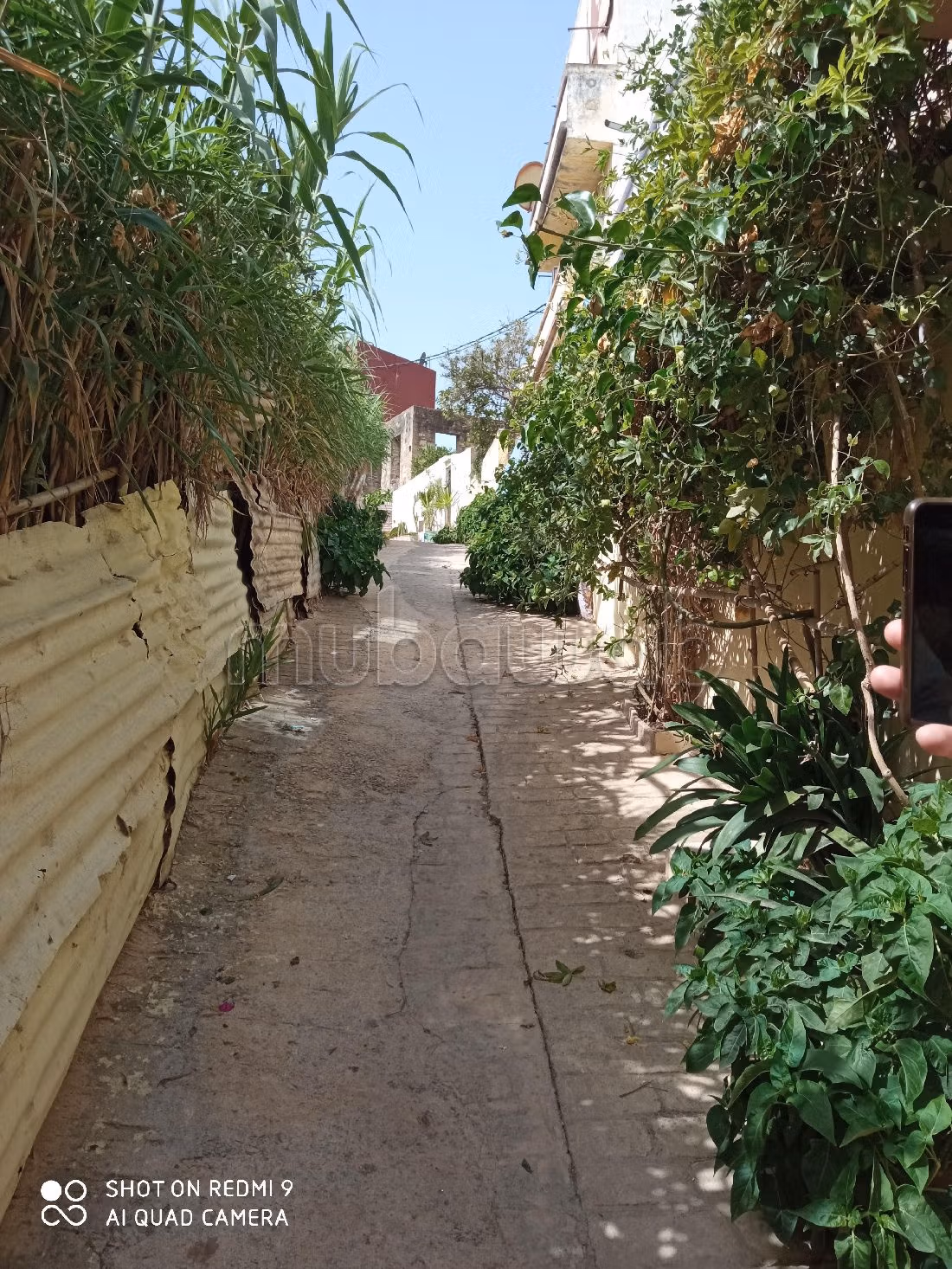 Terrain constructible pour villa ou immeuble