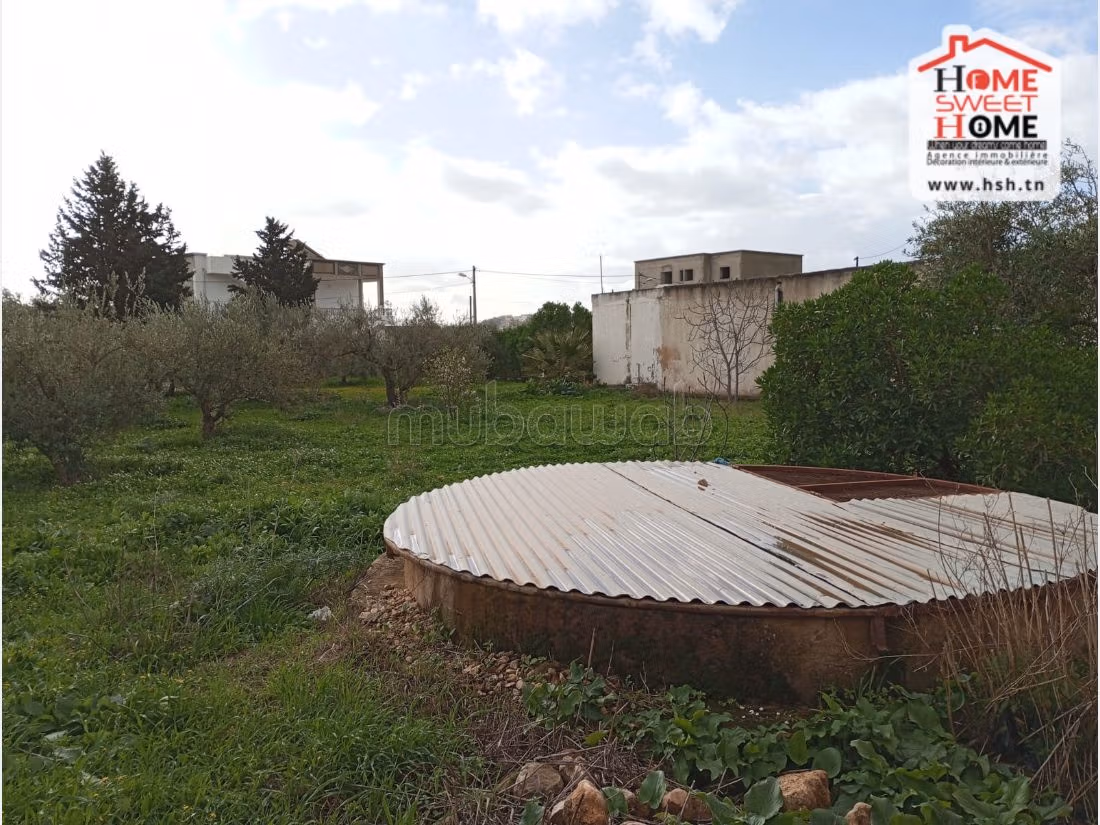 Villa Gavin à Vendre à Teboursouk