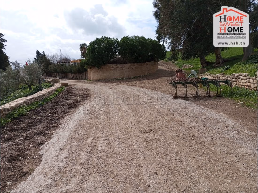 Land to buy. Area of 4000 m². 