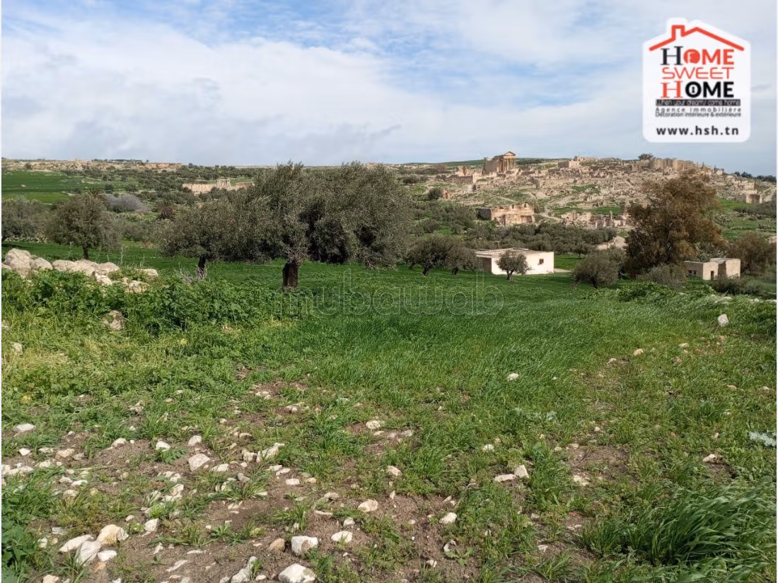 Land to buy. Area of 4000 m². 