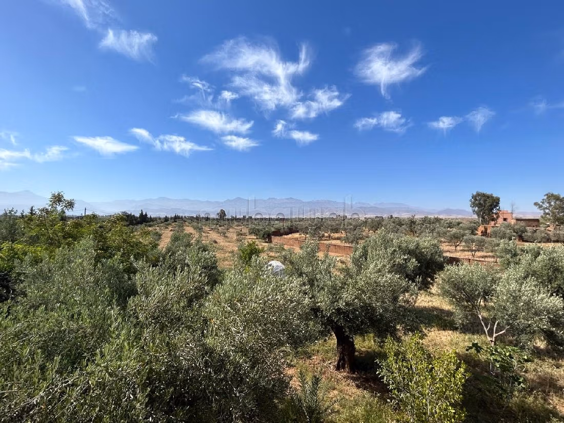 Nu te koop: villa's en luxe woningen in Route de l'Ourika. Totale oppervlakte 24000 m². Conciërgeservice en open haard. 