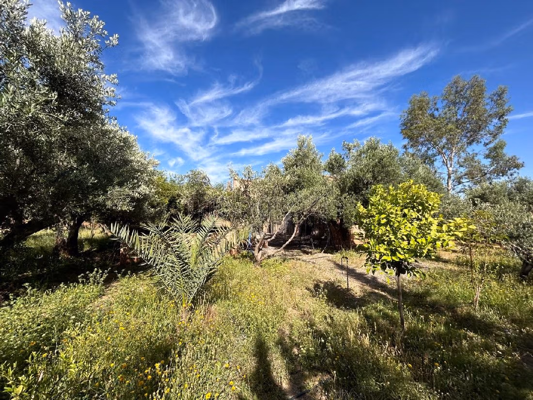 Nu te koop: villa's en luxe woningen in Route de l'Ourika. Totale oppervlakte 24000 m². Conciërgeservice en open haard. 