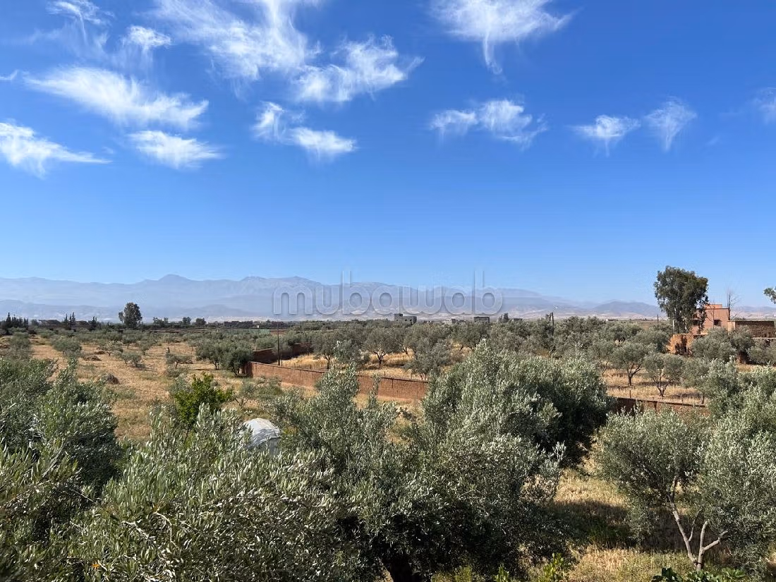 Nu te koop: villa's en luxe woningen in Route de l'Ourika. Totale oppervlakte 24000 m². Conciërgeservice en open haard. 