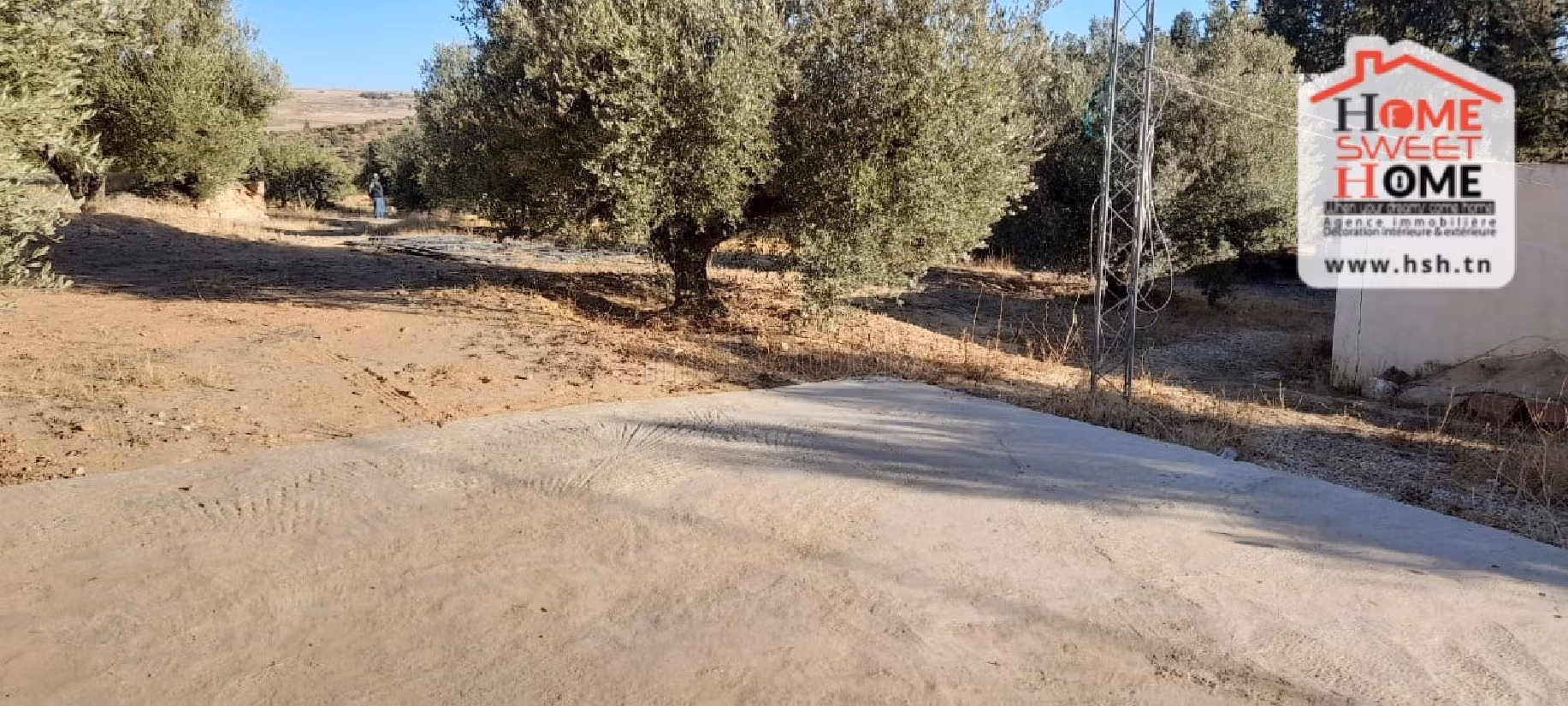 Nice farm for sale. Dimension 6000 m². 