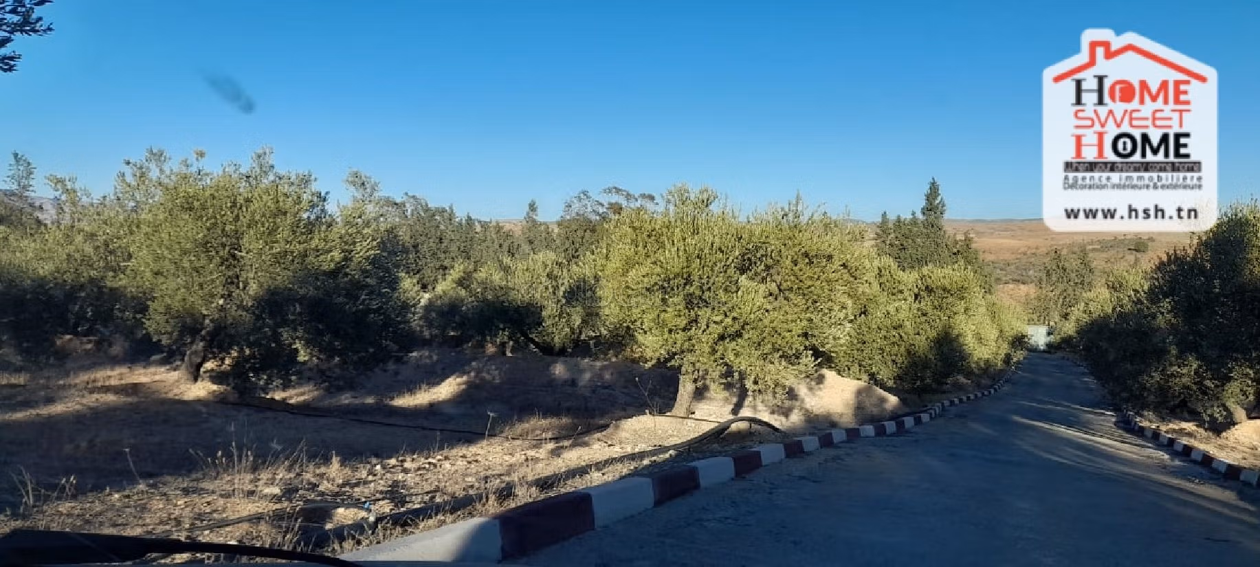 Nice farm for sale. Dimension 6000 m². 