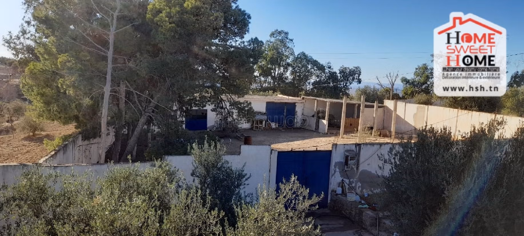 Nice farm for sale. Dimension 6000 m². 