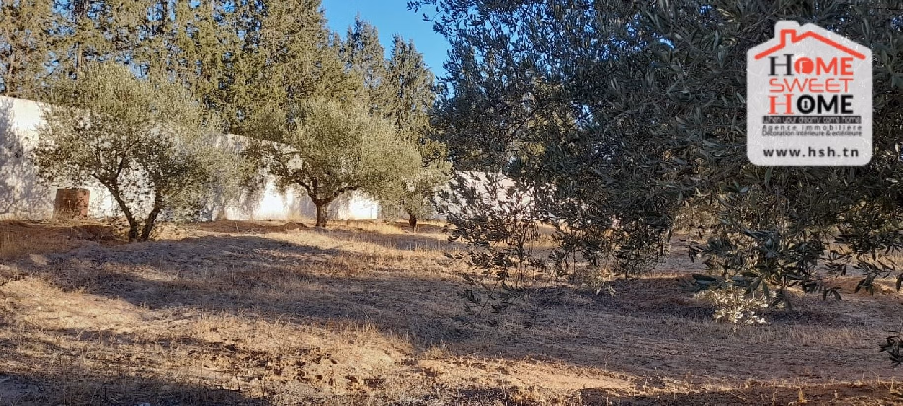 Nice farm for sale. Dimension 6000 m². 