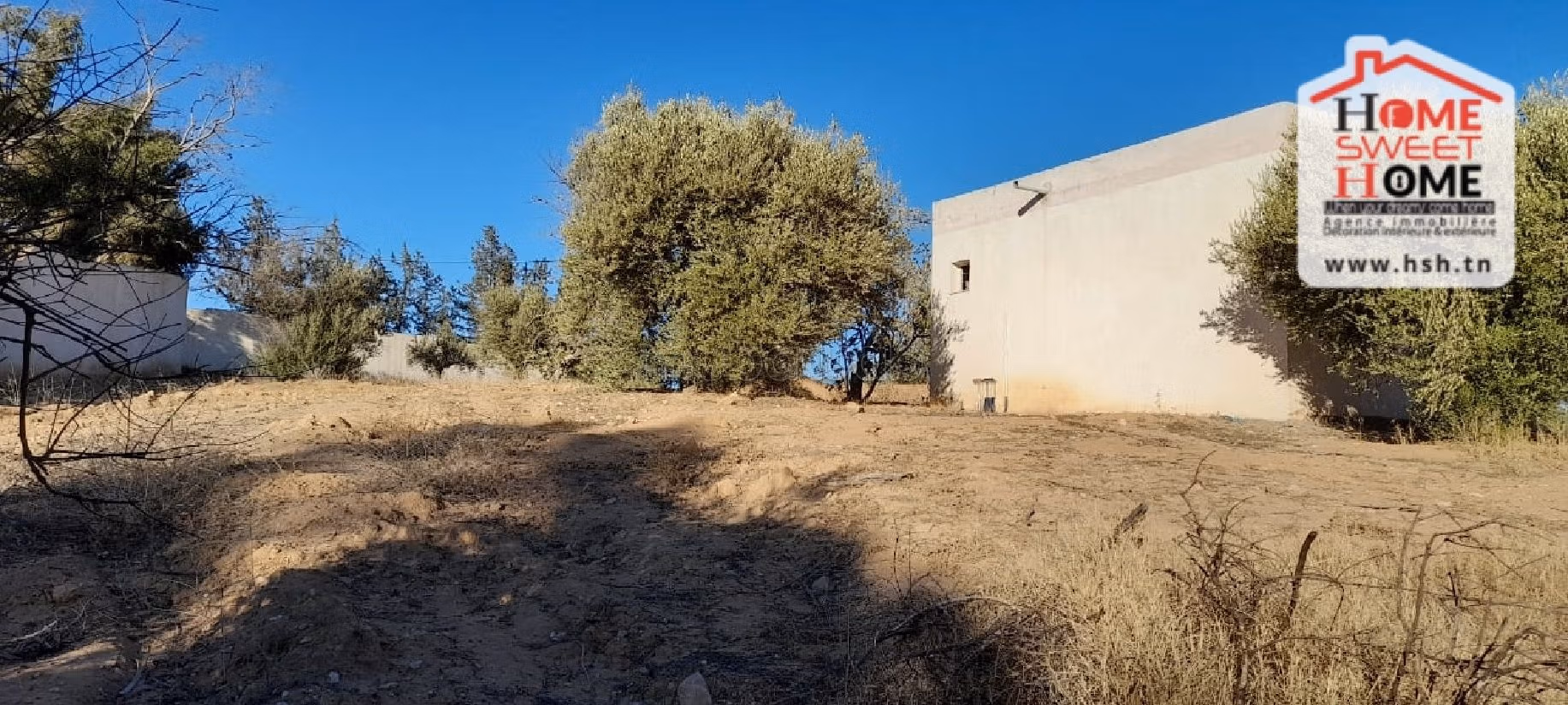 Nice farm for sale. Dimension 6000 m². 