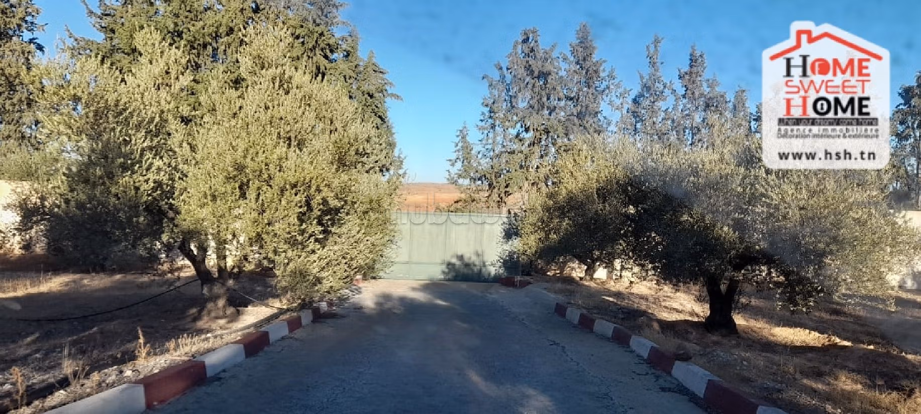 Nice farm for sale. Dimension 6000 m². 