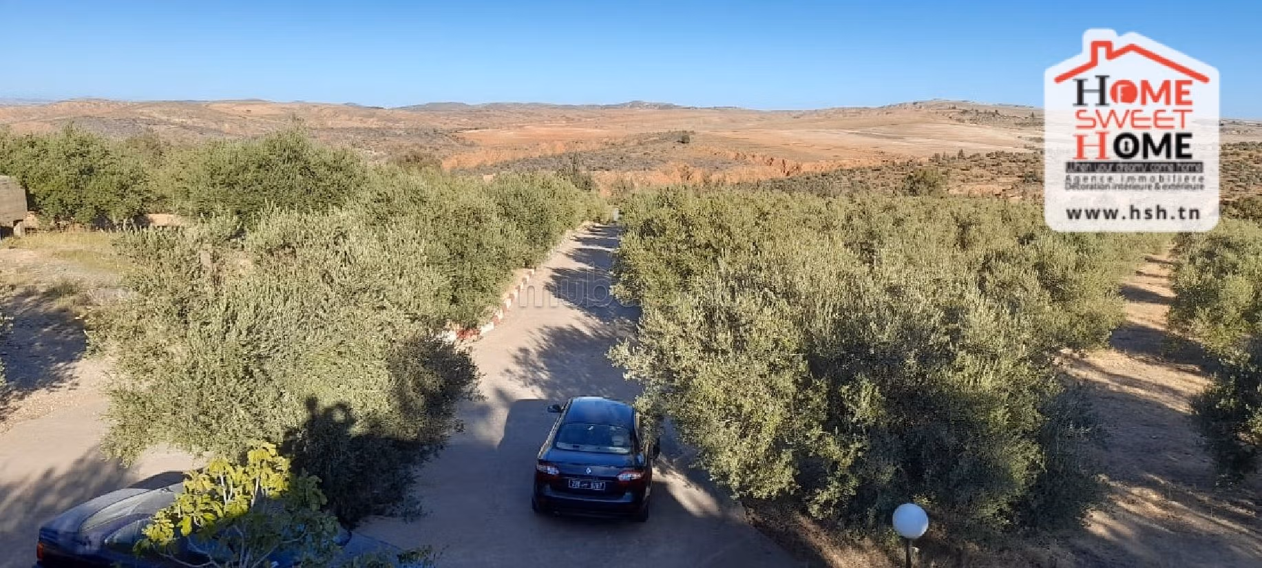 Nice farm for sale. Dimension 6000 m². 