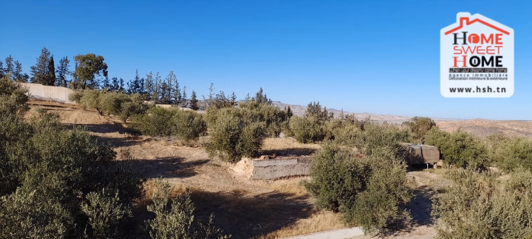 Nice farm for sale. Dimension 6000 m². 
