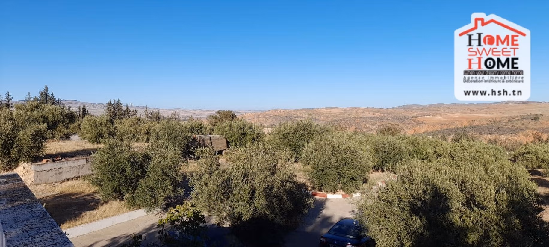 Nice farm for sale. Dimension 6000 m². 