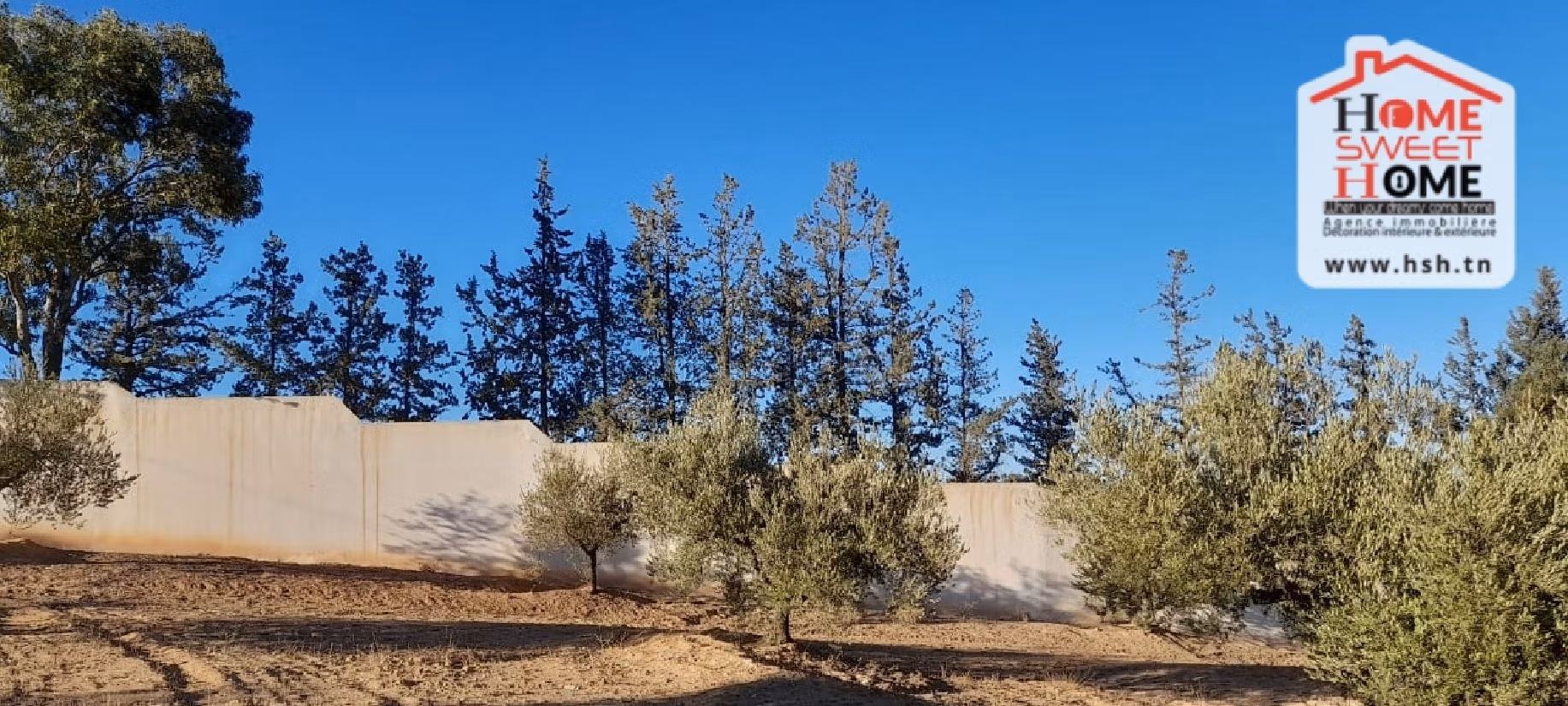 Nice farm for sale. Dimension 6000 m². 