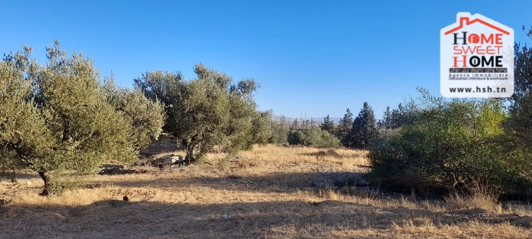 Nice farm for sale. Dimension 6000 m². 