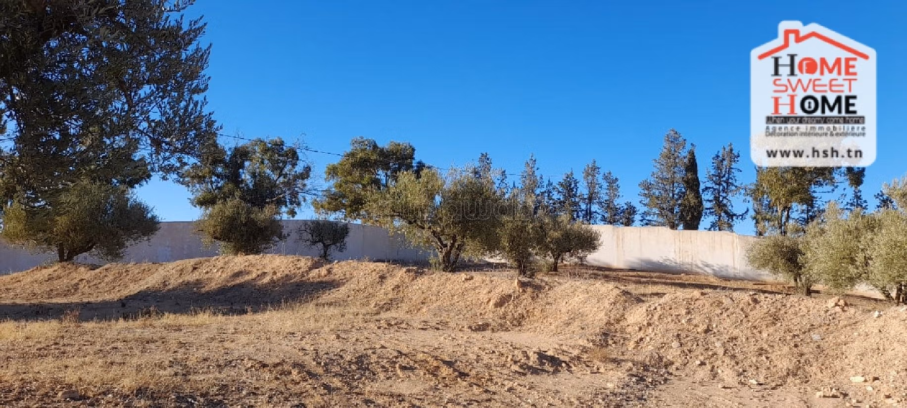 Nice farm for sale. Dimension 6000 m². 