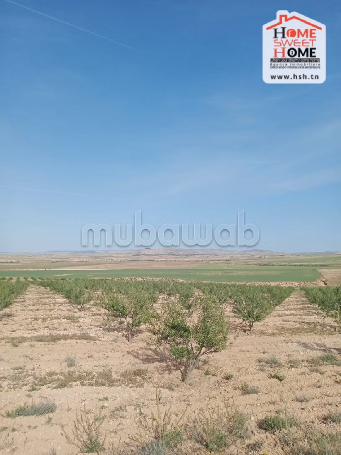 Bel terreno in vendita. Superficie di 210000 m². 