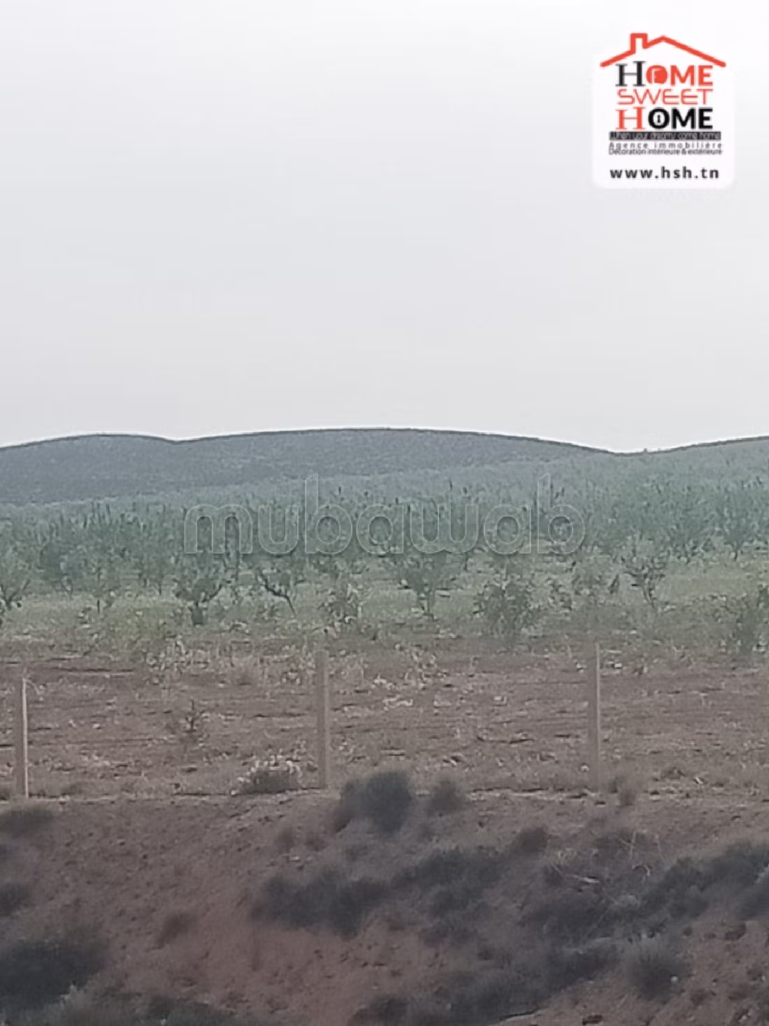 Bel terreno in vendita. Superficie di 210000 m². 