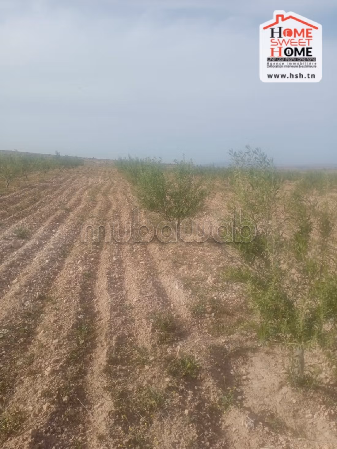 Bel terreno in vendita. Superficie di 210000 m². 