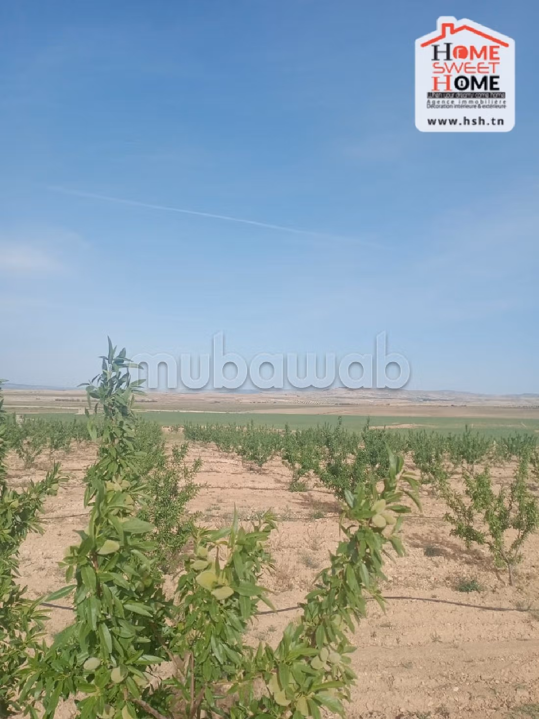 Bel terreno in vendita. Superficie di 210000 m². 
