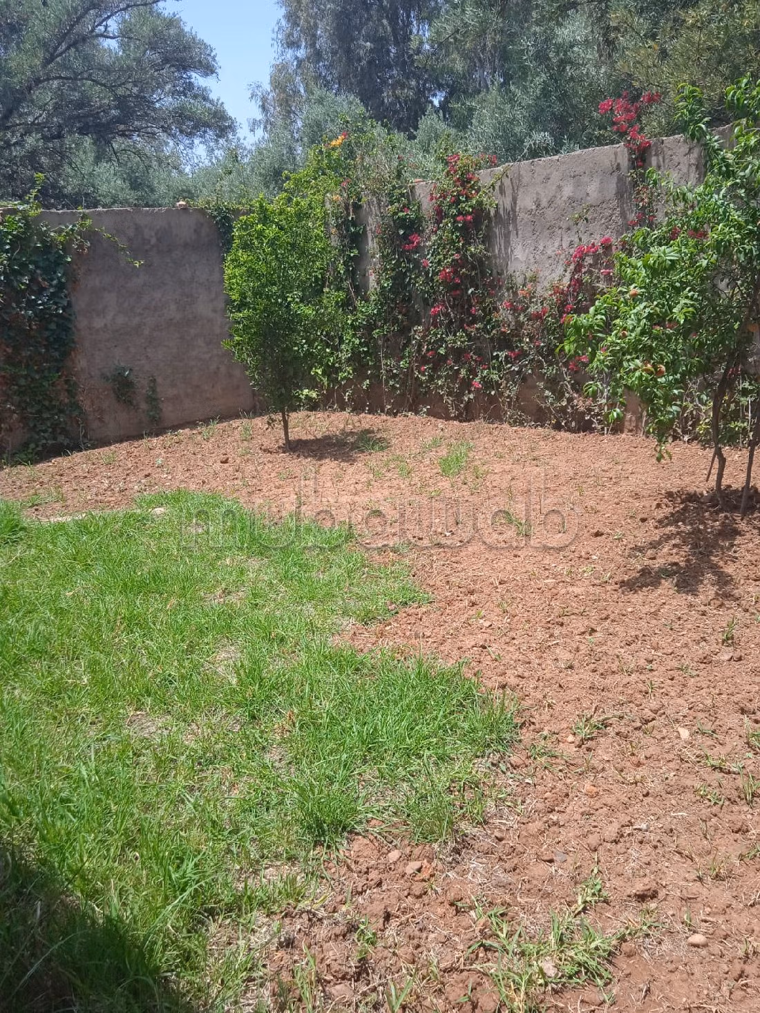 Maison pour ventr dans une espace natrule