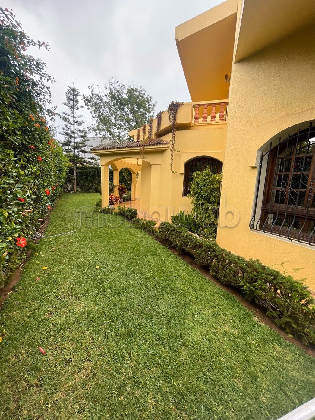 Straordinaria casa di lusso in affitto a Riyad. 5 belle camere da letto. Servizio di concierge e condizionatore.