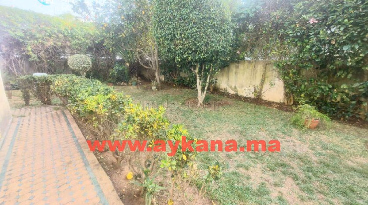 House for sale in Riyad. 5 beautiful rooms. Cellar, Large terrace. 